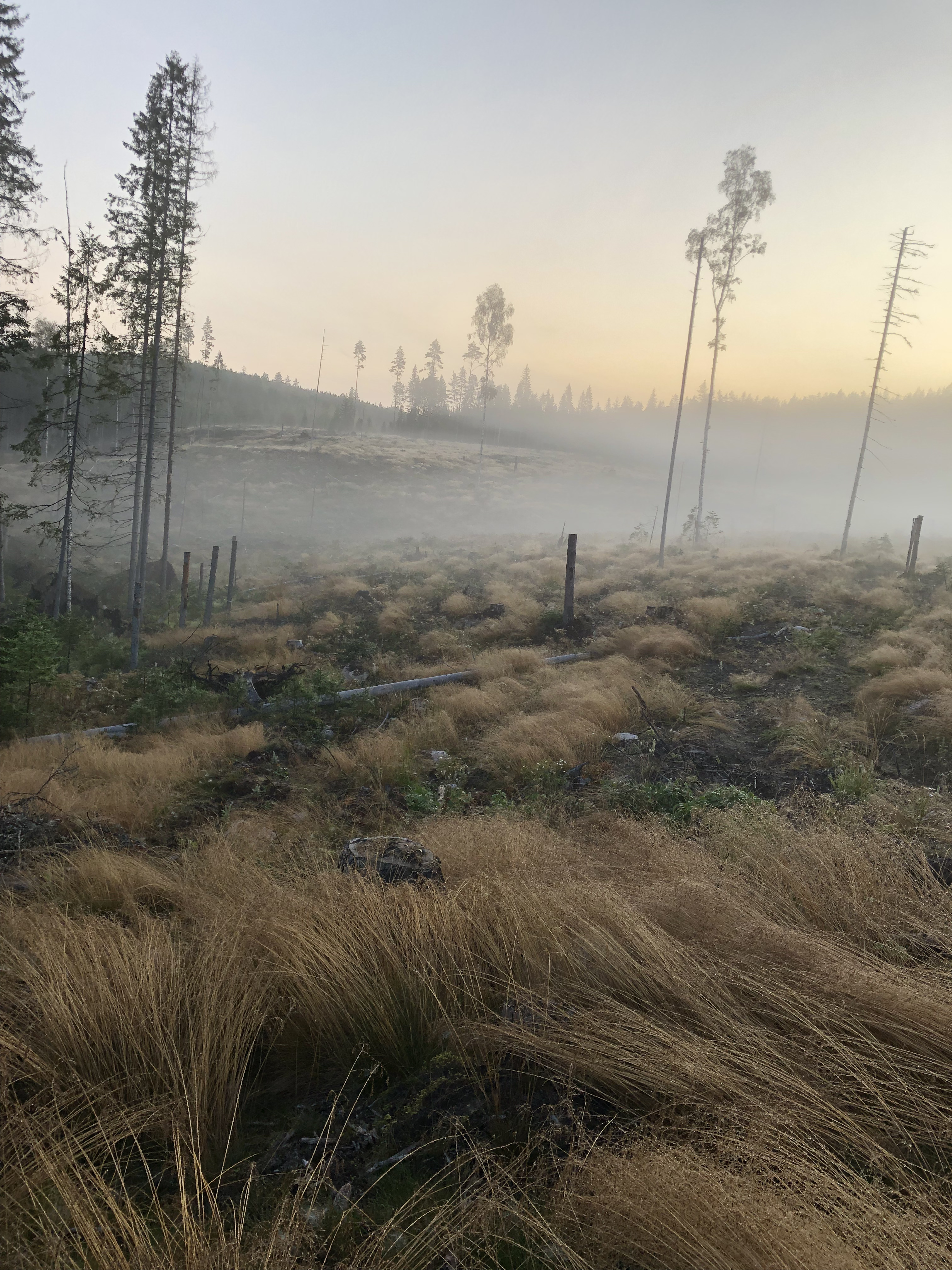 Från jaktmarkerna